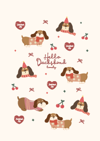 Dachshund lovely :D