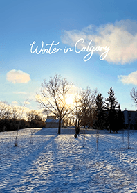 Winter in Calgary (18)