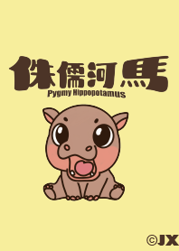 Cute Pygmy Hippopotamus 1