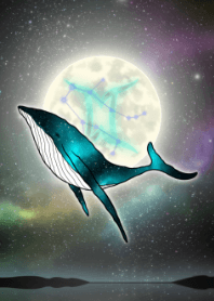 月亮、鲸鱼和双子座