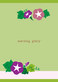 Morning glory flower day MG