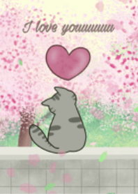 In love with cat
