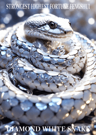 Diamond and white snake 07