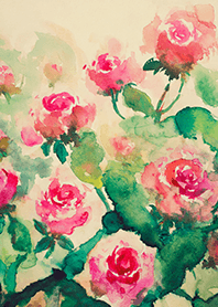 Beautiful rose flower(R4484)