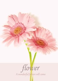 Happy gerbera flower1.