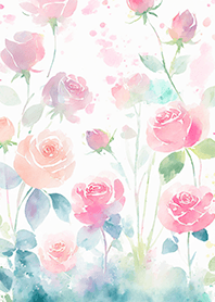 Beautiful rose flower(R4405)