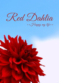Red Dahlia