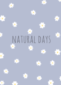 natural flower (deige blue)