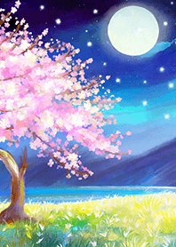 Beautiful night cherry blossoms#1997