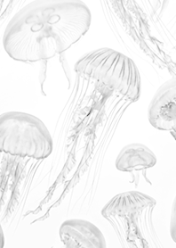 Translucent Jellyfish Symphony 3