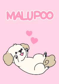 私のわんちゃん マルプー