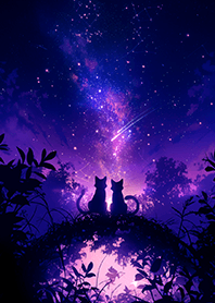 ✨星夜の情侶黑貓❤️