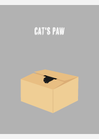 Cat's paw on white