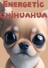Energetic Chihuahua