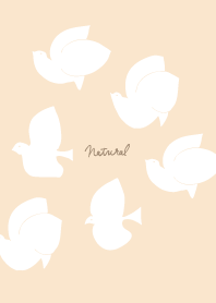 6 white birds17