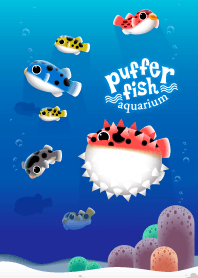 Puffer Fish Aquarium
