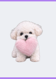 Tema Maltipoo Putih Purple 01