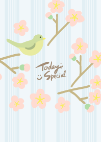 Cute nightingale16 from Japan