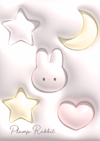 sakurairo Fluffy moon and rabbit 10_1