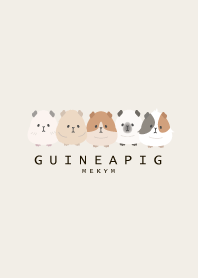 GUINEA PIG-MEKYM 28