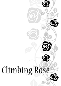 Climbing Rose*Black & White