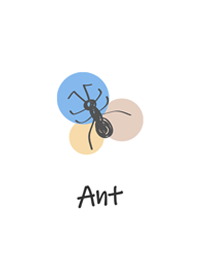 単純なアリの塗抹標本