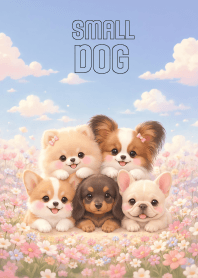 Cute Small Dog In Flower