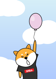 Dotory shiba