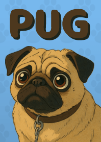 Pop and Cute Pug Theme Blue 01