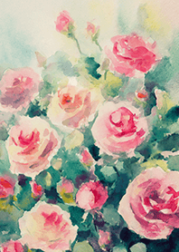 Beautiful rose flower(R4946)