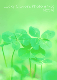Lucky Clovers Photo#4-36Not AI