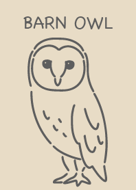 Barn owl simple brown