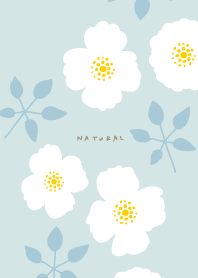 2types of white flowers leaves24 Japan