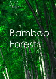 Bamboo Forest ~竹林~
