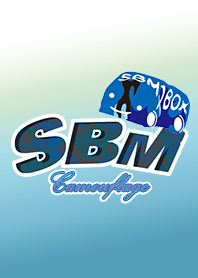 箱車さん着せ替え カモフラ柄