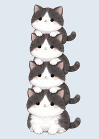 แมวซ้อน|แมวสองสีไอซ์บลู#2