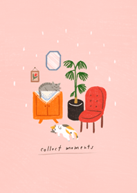 collect moments