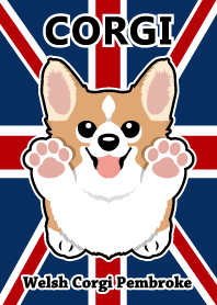 welsh corgi pembroke