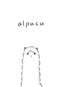 ง่าย สัตว์ขนยาวในอเมริกาคล้ายแกะ