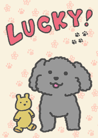 Very cute dog LUCKY