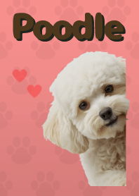 ธีมพุดเดิ้ลทอย Red 01