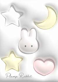 Fluffy moon and rabbit 01_2
