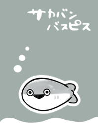 嚴肅的薩卡班巴斯皮斯