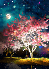 Beautiful night cherry blossoms#1308