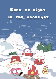 Snow at night in the moonlight