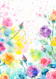 Beautiful rose flower(R4051)