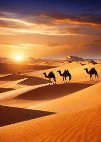 Desert sunset   191173