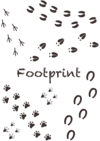 動物の足跡