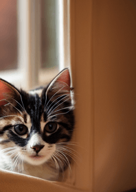 Nyanko Great Runaway#BIVAI318.