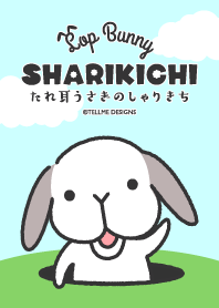Lop Bunny, SHARIKICHI